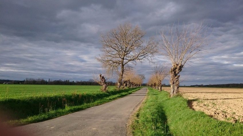 Découvrir Couffouleux et son territoire