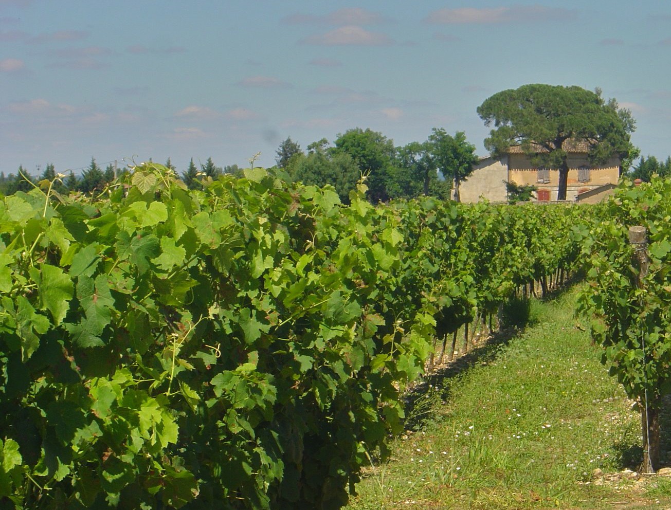 Découvrir Couffouleux et son territoire Mairie de Couffouleux