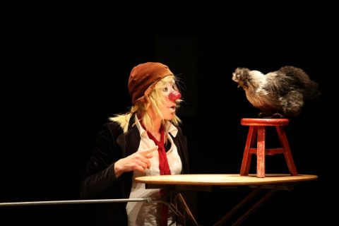 Festival du Morse : huitième édition !