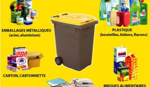 BAC-JAUNE