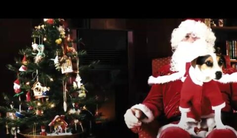 Pere-noel