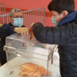 Election CMJ