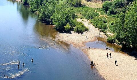 baignade-tarn