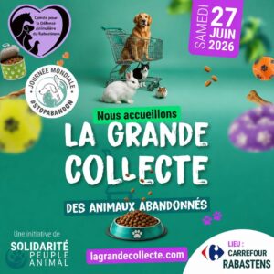 comite-defense-animaliere